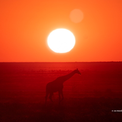 Namibia 2026